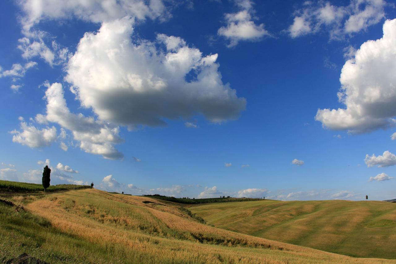 Cordella In Montalcino Wine Resort Exterior foto