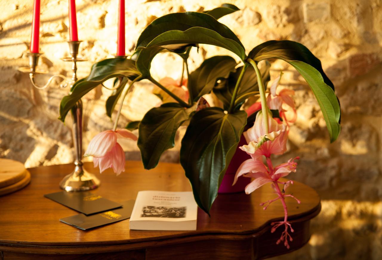 Cordella In Montalcino Wine Resort Exterior foto
